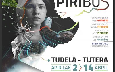 Tudela, programa de actividades -Tutera, Jardueren egitaraua