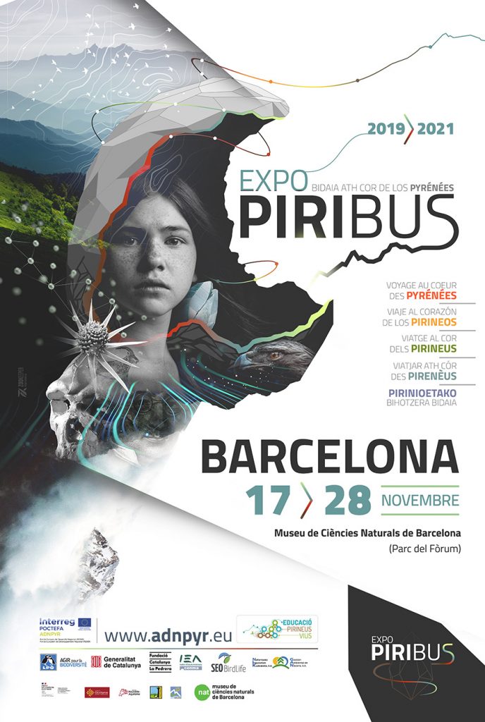 PIRIBUS BARCELONA 17-28 de novembre del 2021